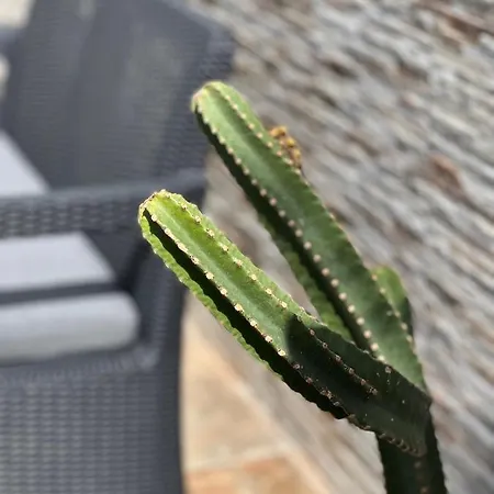 Fashion Vivalavida, Private Pool X Parking Βίλα *