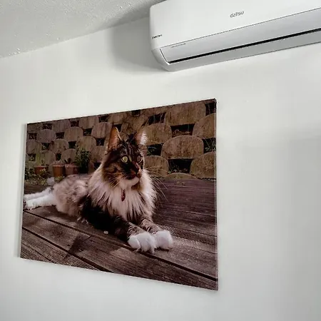 Fashion Vivalavida, Private Pool X Parking Willa Playa Blanca (Lanzarote)