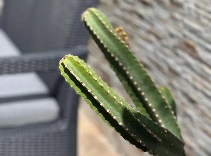 Fashion Vivalavida, Private Pool X Parking فيلة *