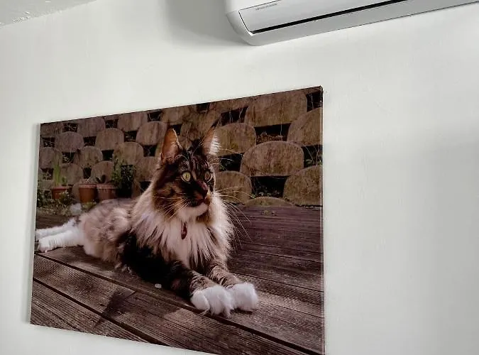 Fashion Vivalavida, Private Pool X Parking Villa Playa Blanca (Lanzarote)